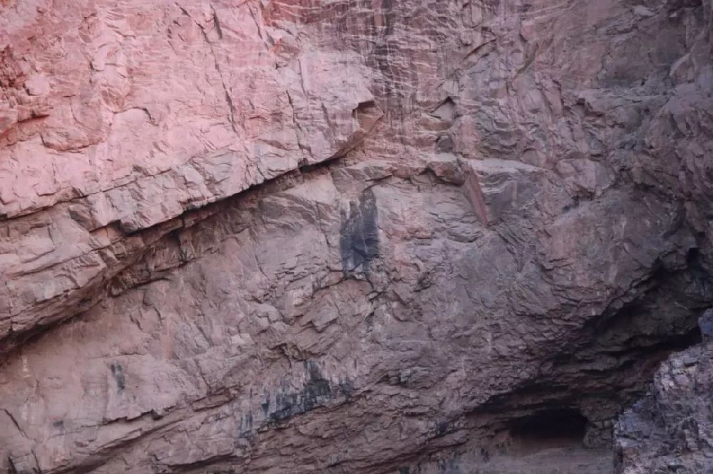 1647852989154942.jpg 微信圖片_20220321165609.jpg