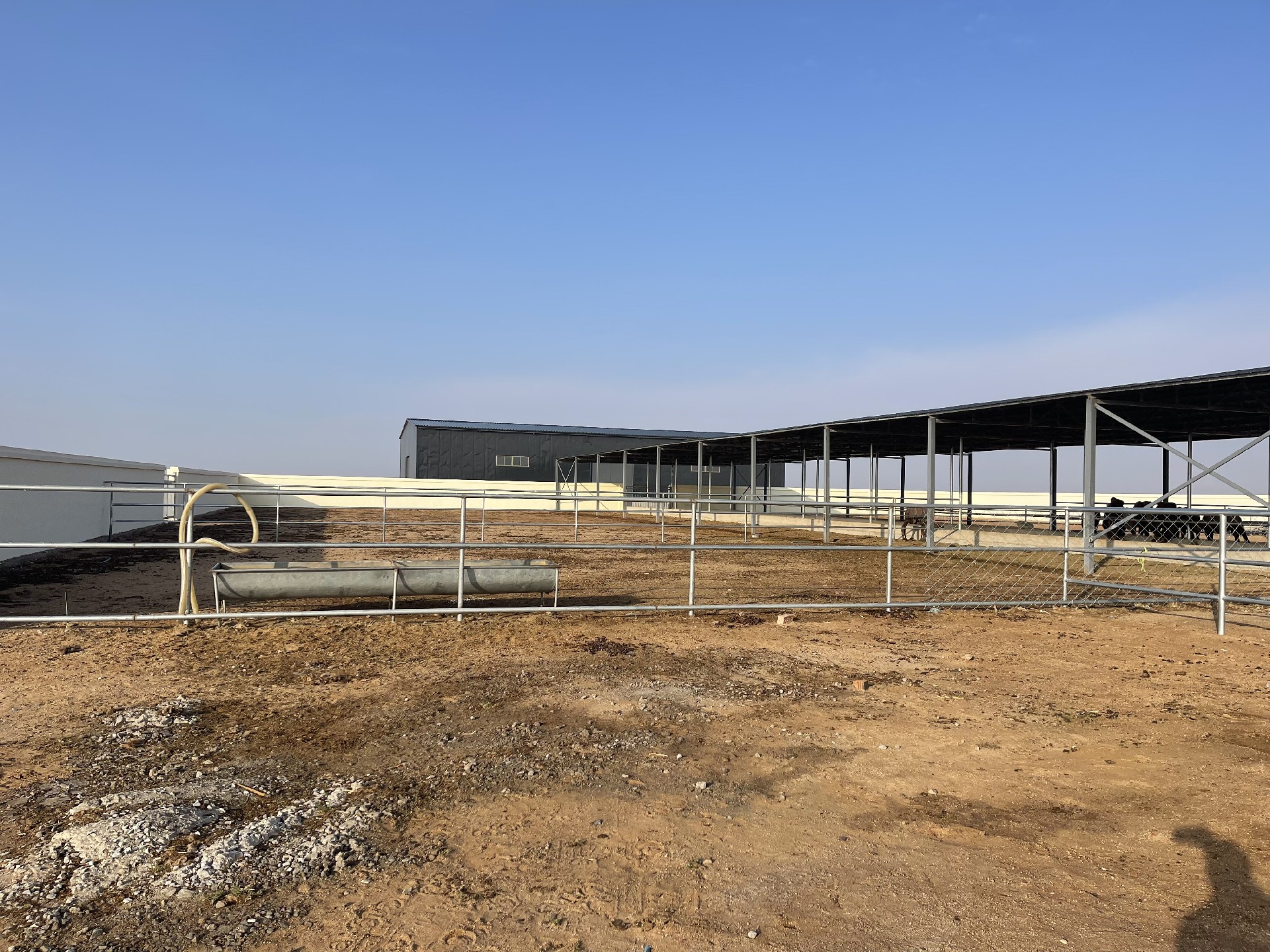 1667812381154859.jpg 15.jpg