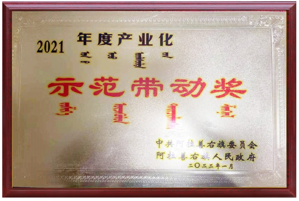2021年度產(chǎn)業(yè)化示范帶動獎