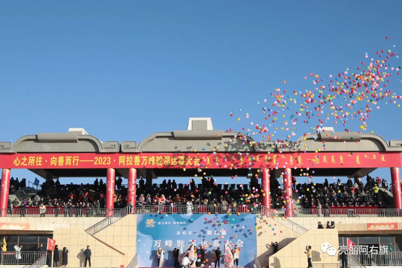 1703906330464525.jpeg 24ce0983fdc4bfa7906229bf40921a4b.jpeg