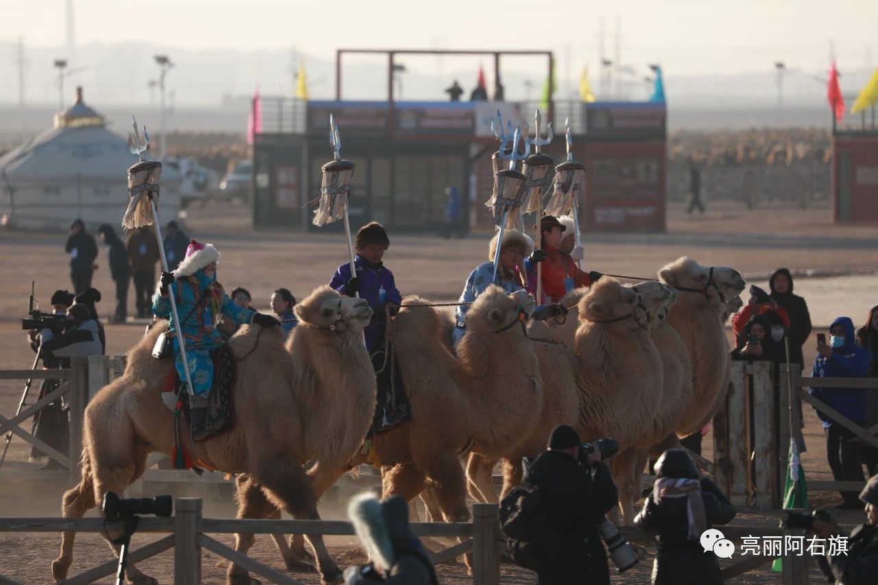 1703906457656675.jpeg 14728ccf6a01d4056f7ffab995122356.jpeg