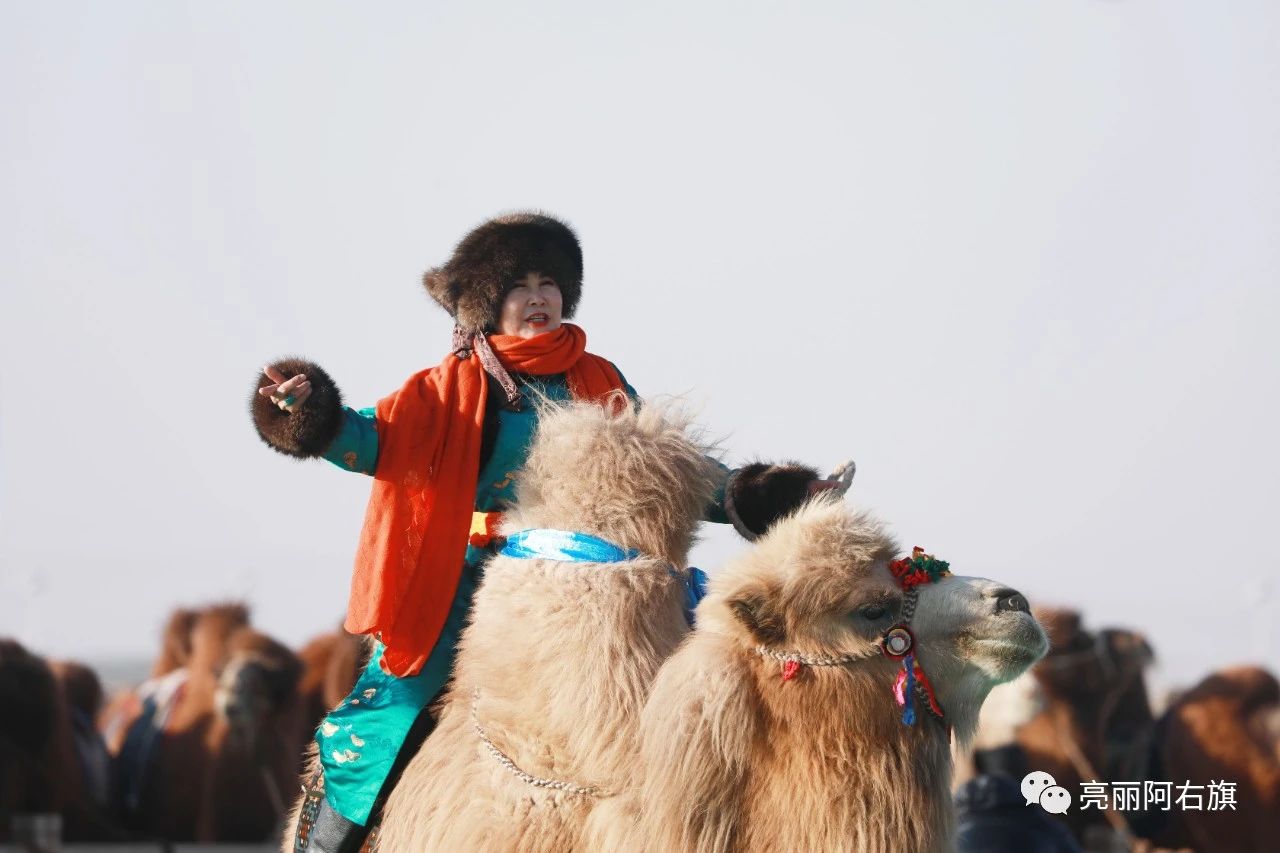 1703906681160651.jpeg d7f13adbcddcee754a35166ac979727f.jpeg