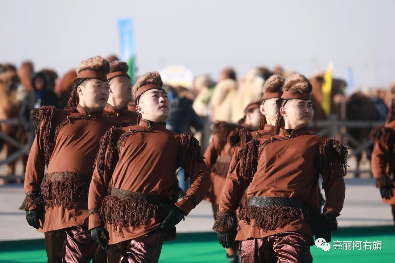 1703906749539078.jpeg 40c0688592cb7894a9cde4a2f3d6a119.jpeg