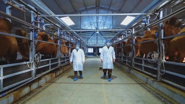 1720082626514276.jpg 微信圖片_20240704163249.jpg