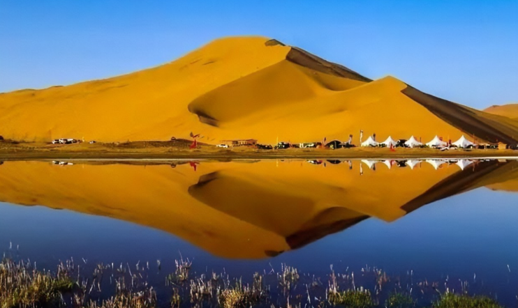 1725436642548093.jpg 1725436617963.jpg